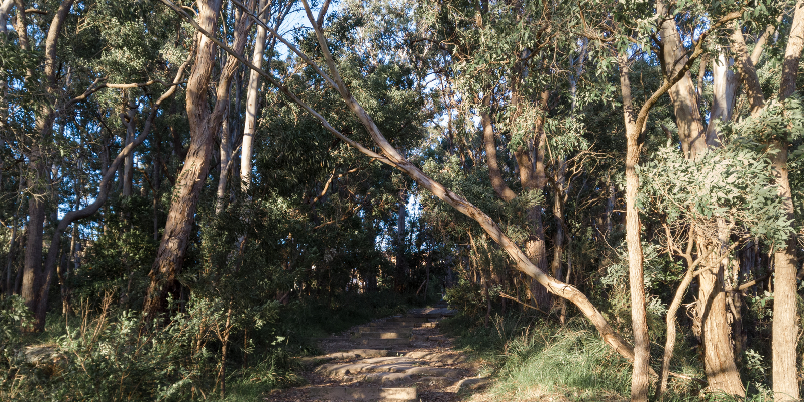 The top 10 kid friendly bushwalks near Canberra (2023)