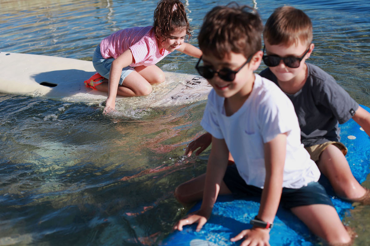 Exploring the Impact of Play on Child Development