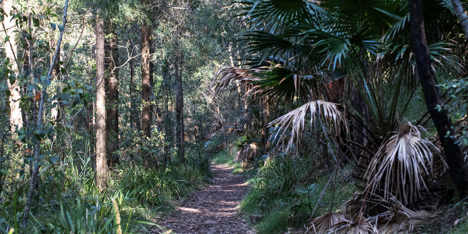 The top 10 kid friendly bushwalks near Perth (2023)