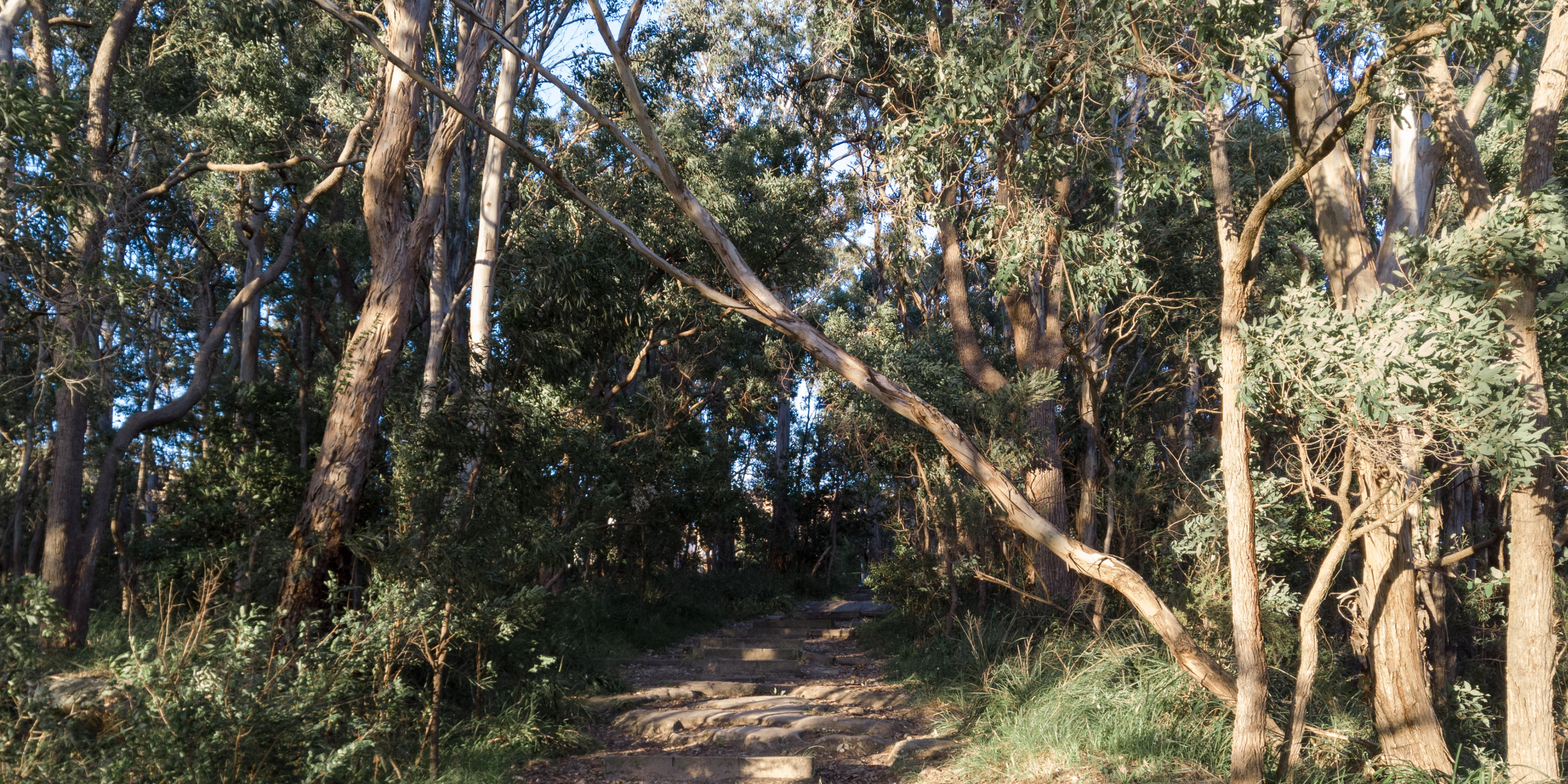 The top 10 kid friendly bushwalks near Canberra (2023)