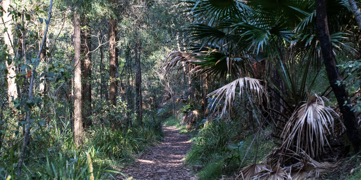 The top 10 kid friendly bushwalks near Perth (2023)