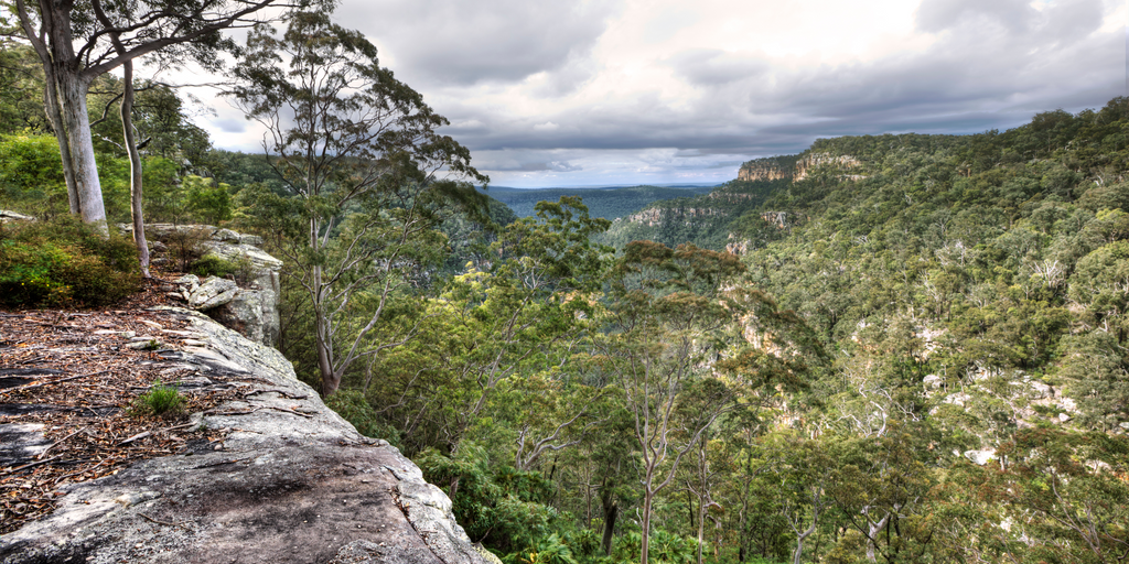 The Ultimate Guide to Family Friendly Bushwalks for Aussie Kids (2023)