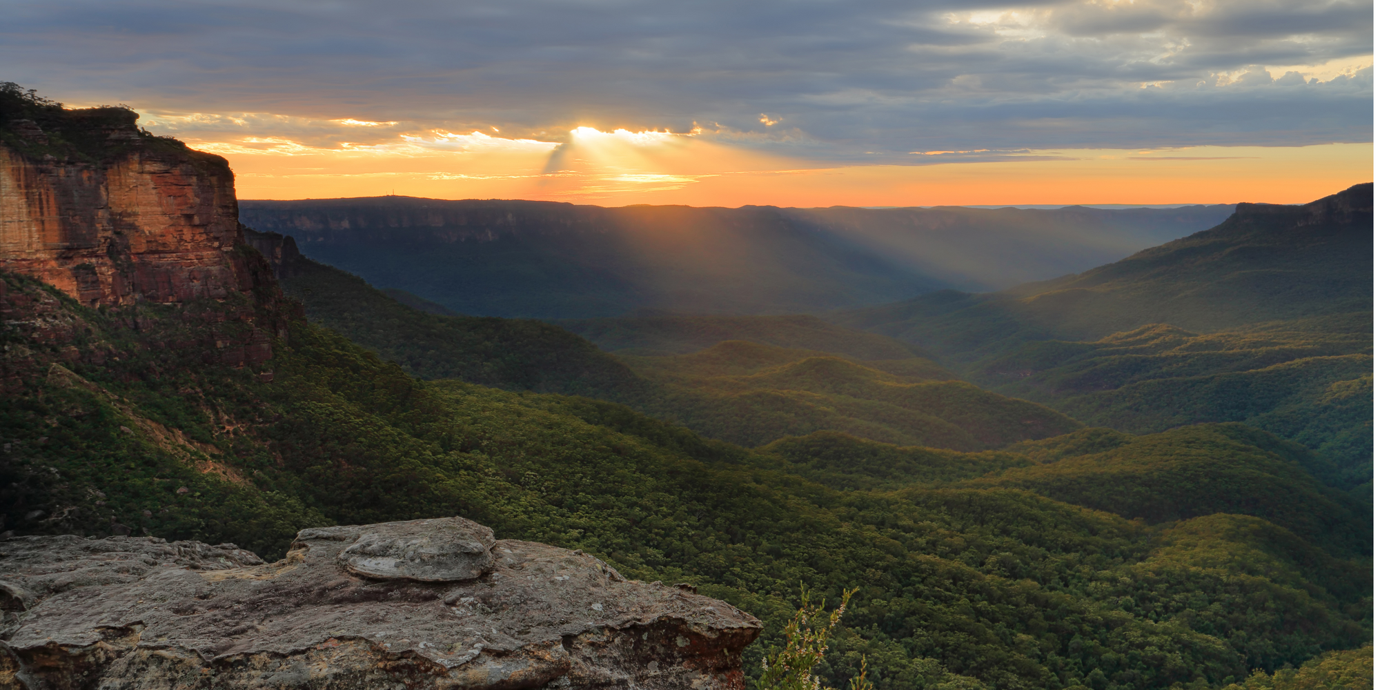 The top 10 kid friendly bushwalks near Sydney (2023)